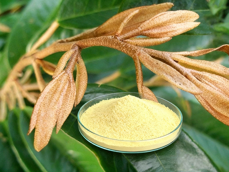 Tại sao nên sử dụng amino acid nhiều lần trong quy trình canh tác?