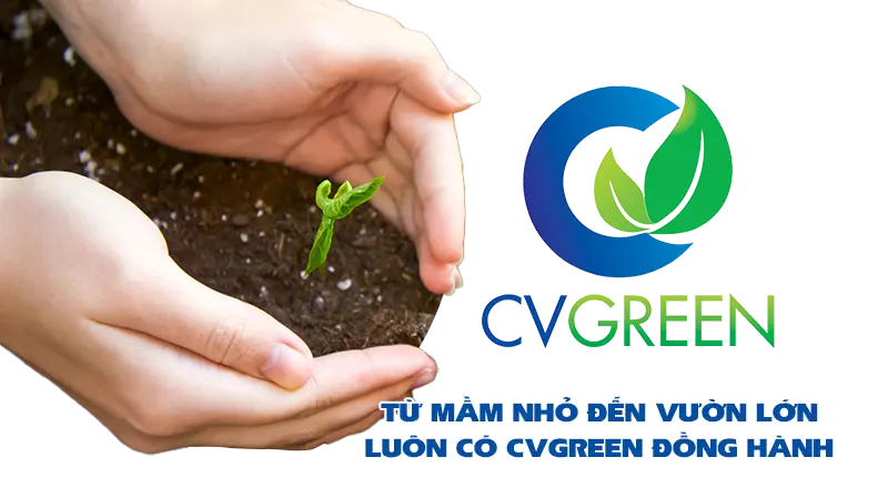 Giới thiệu về công ty CVGREEN