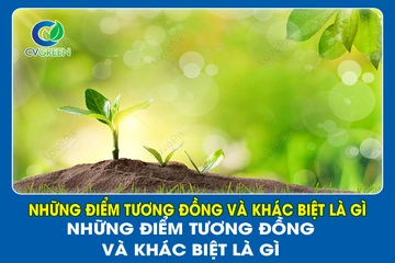 Sodium nitrophenolate và cytokinin DA-6: Những điểm tương đồng và khác biệt là gì?