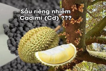 Cadimi trong phân lân là gì? Chọn loại lân nào an toàn hơn khi tạo mầm?