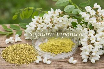 Rutin (tinh chất hoa hòe) là gì? Tác dụng thực tế và vai trò sinh lý của Rutin đối với cây trồng